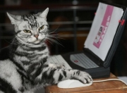 雷火电竞主播-穆勒第89分钟绝杀！巴拉圭1-0喀麦隆赢得生死战