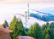 雷火电竞充值-节奏之王的加冕礼，当枫叶国在E组乱局中，用足球智商碾碎南美铁血