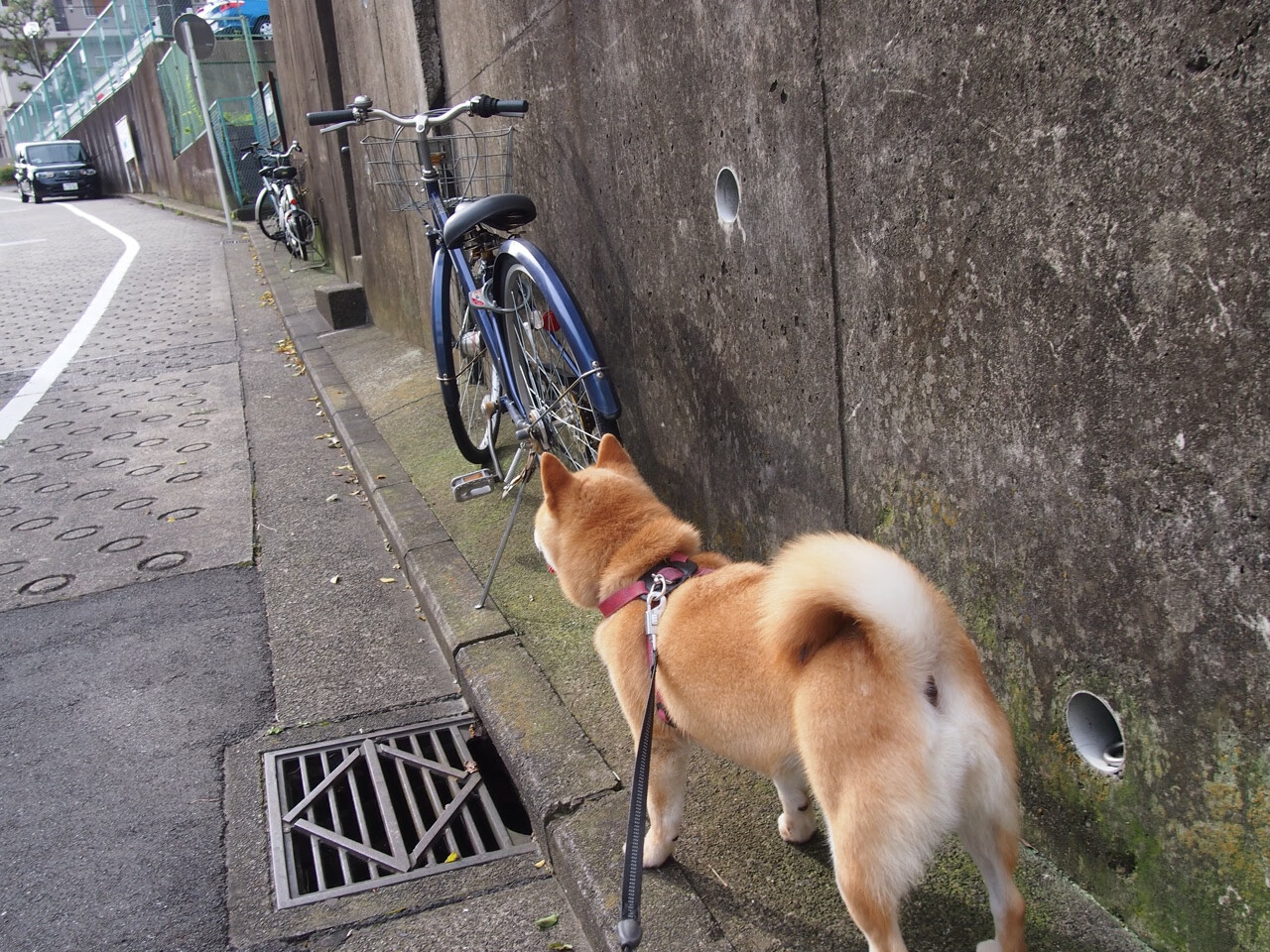 孙兴慜爆发显锋芒,曼城连续得分压制克罗地亚劲旅—足球之夜的双重震撼